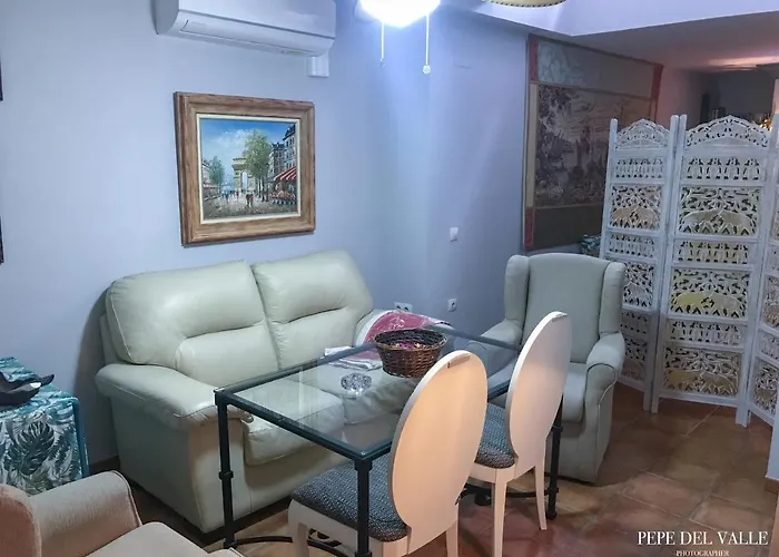 Los Patios “ El Carmen”